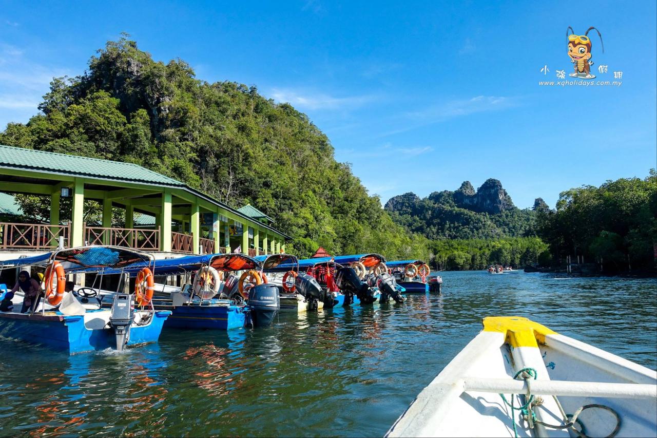 Jelajahi Mangrove Langkawi: Ekosistem Pesisir yang Menakjubkan